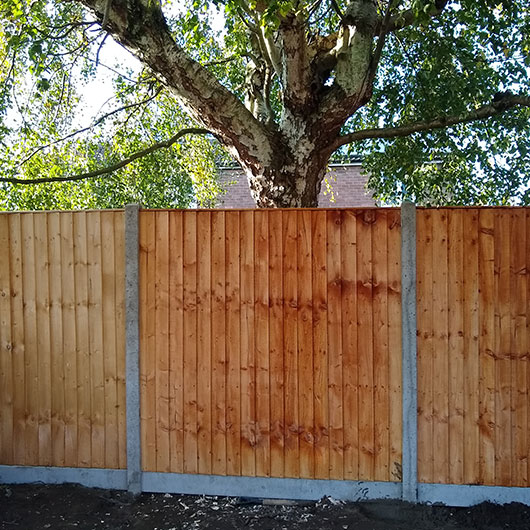 garden fence